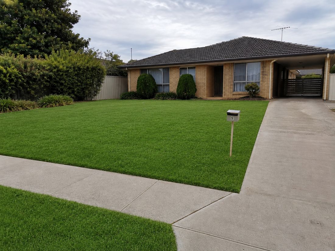 Residential front yard after hydroseeding, lush green lawn