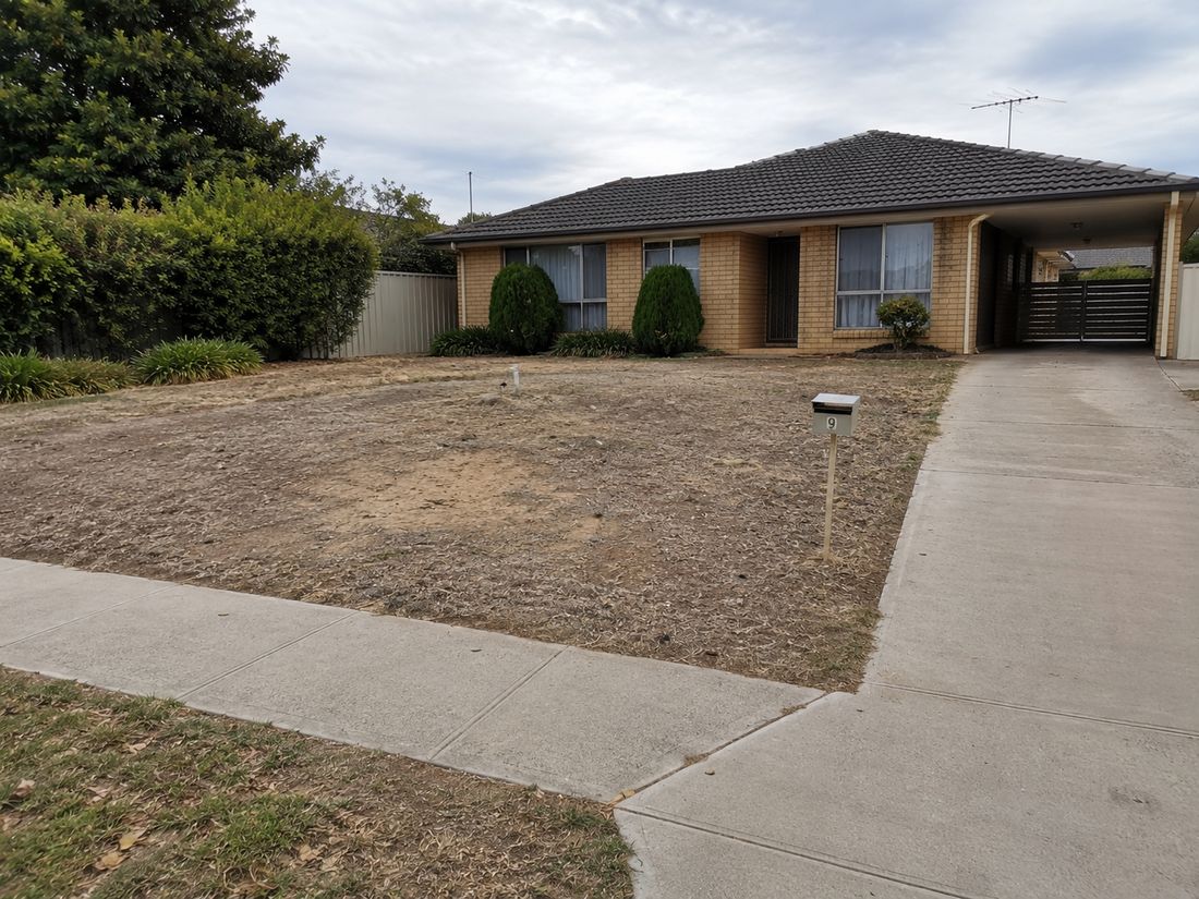 Residential front yard before hydroseeding, bare dry dirt